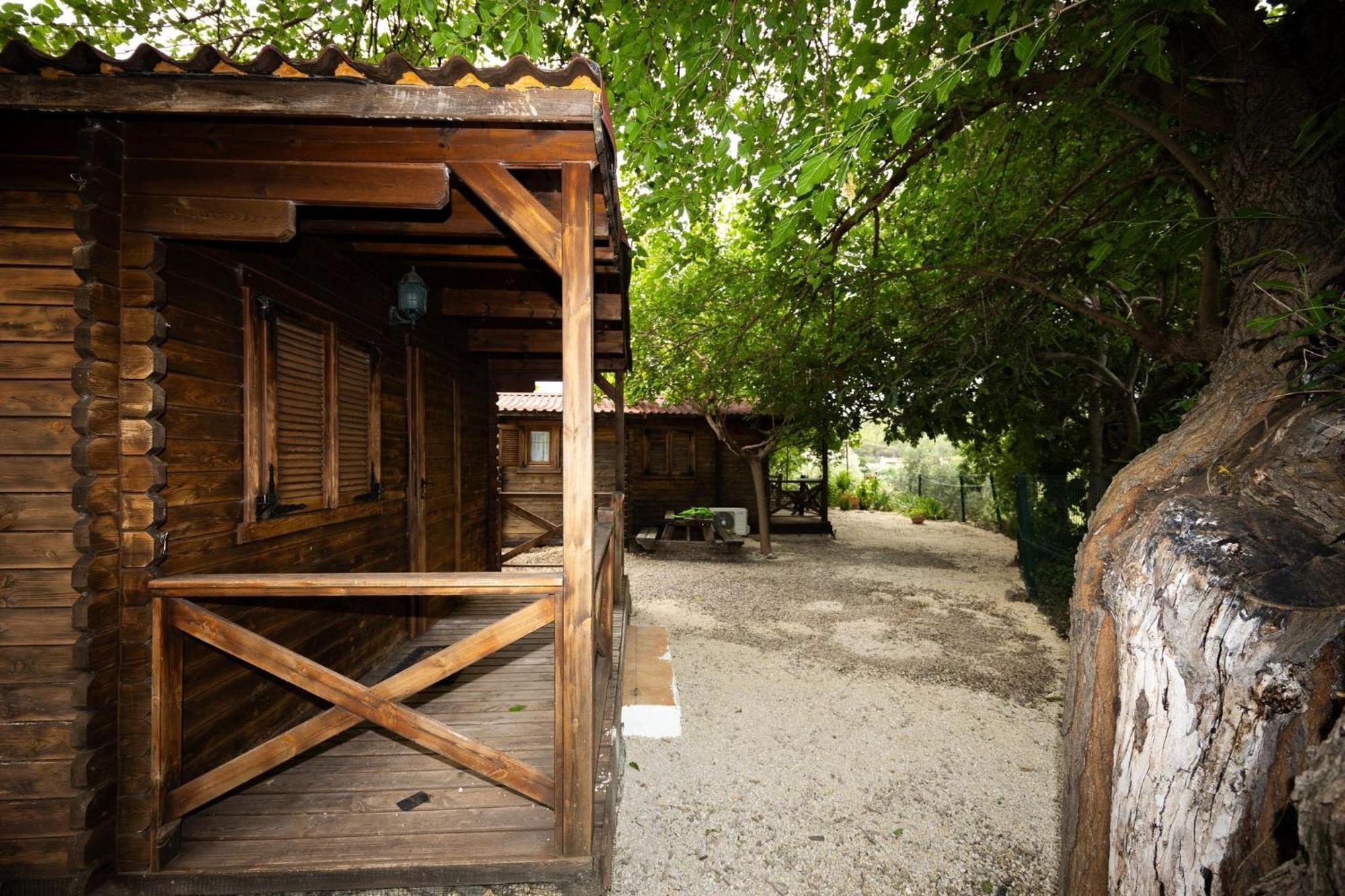 Cabanas Rurales - Las Taneas Yeste Exteriör bild